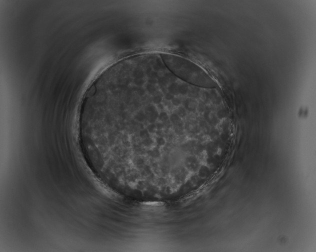 X0000101230053200807181612