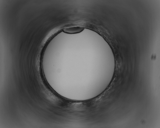 X0000101230054200807181612