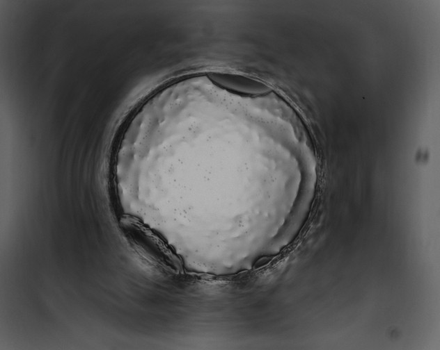 X0000101230055200807181612