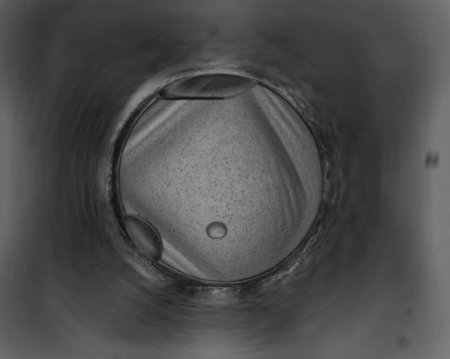 X0000101230056200807181612