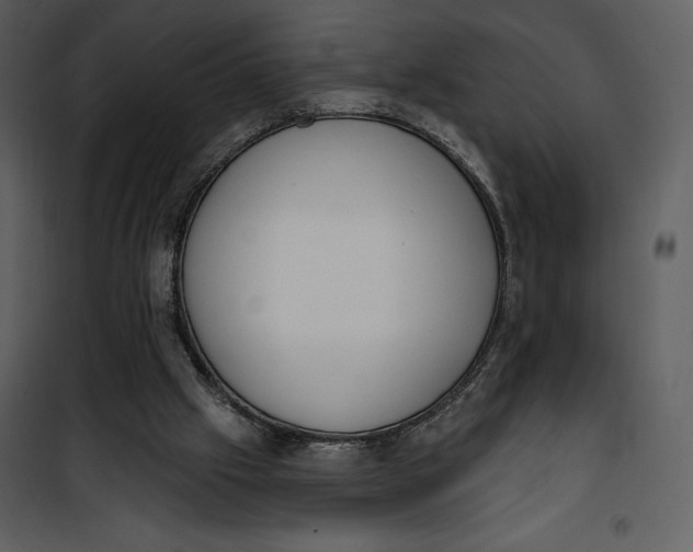 X0000101230057200807181612