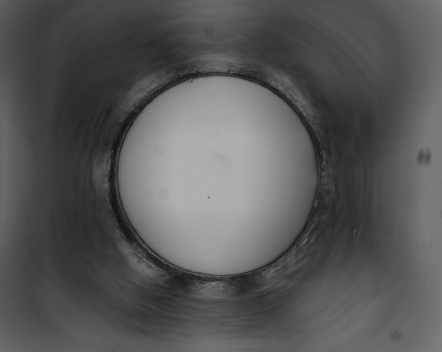 X0000101230058200807181612