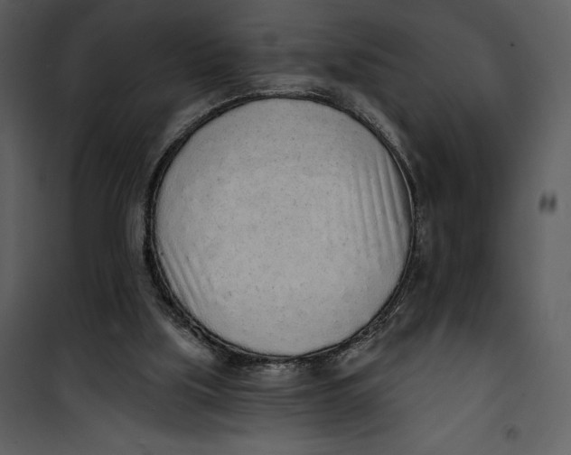 X0000101230059200807181612