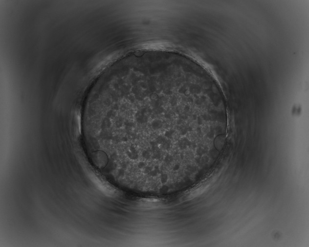 X0000101230061200807181612