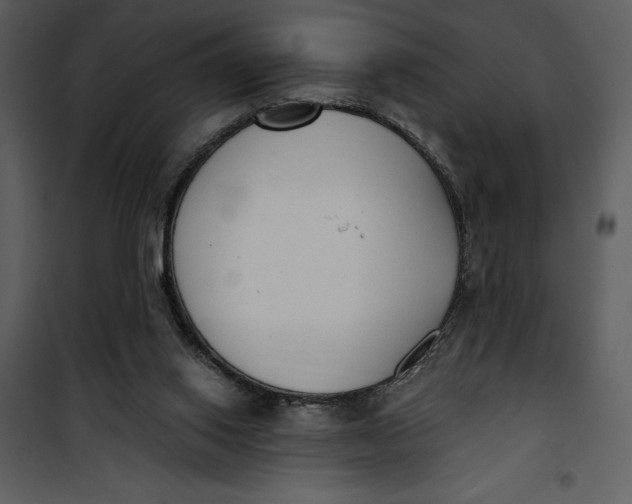 X0000101230062200807181612