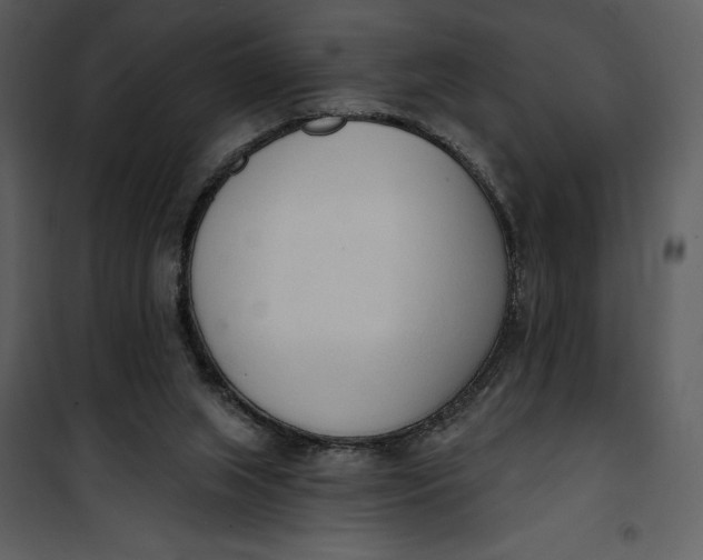 X0000101230063200807181612