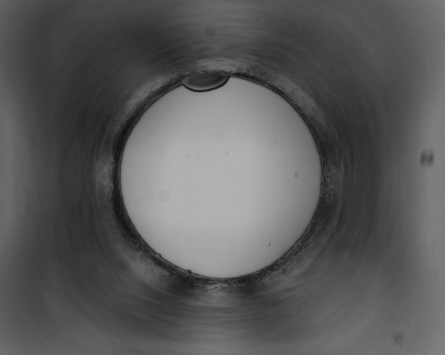 X0000101230064200807181612