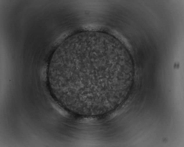 X0000101230065200807181612