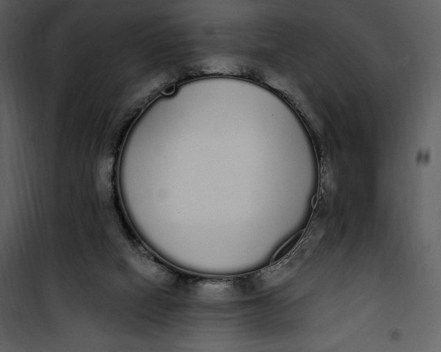 X0000101230066200807181612