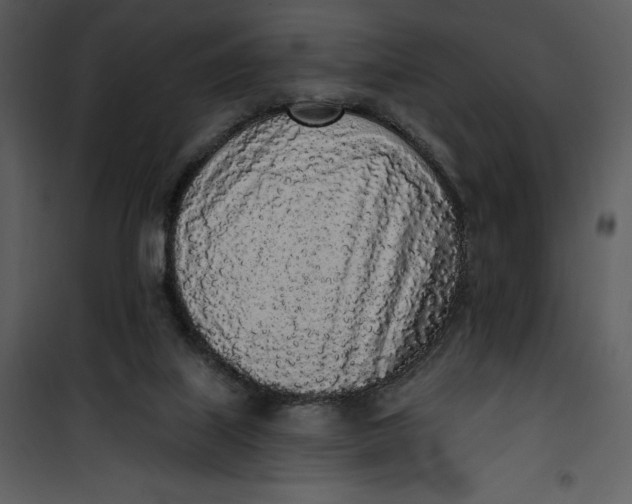 X0000101230067200807181612