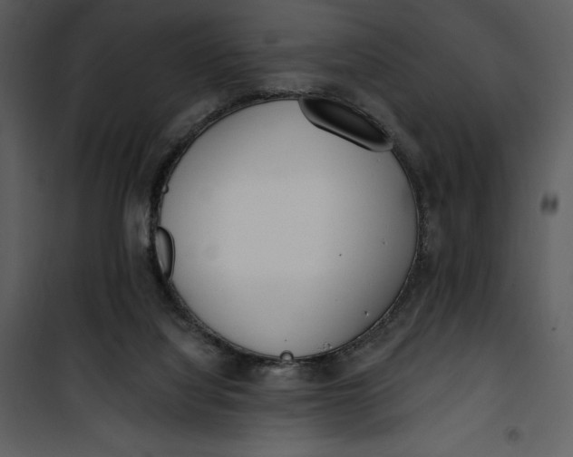 X0000101230068200807181612