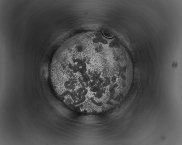 X0000101230069200807181612