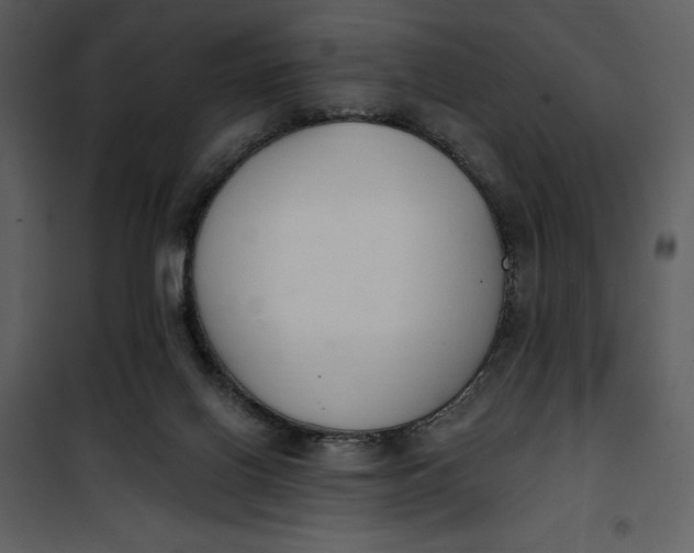 X0000101230070200807181612