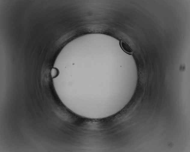 X0000101230071200807181612