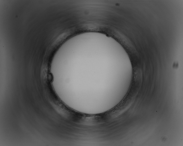 X0000101230072200807181612