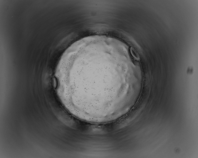 X0000101230073200807181612