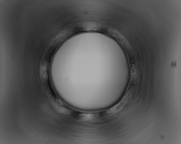 X0000101230074200807181612