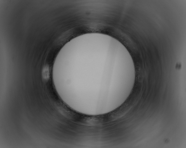 X0000101230075200807181612