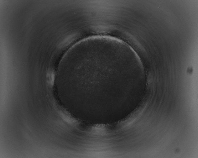 X0000101230076200807181612