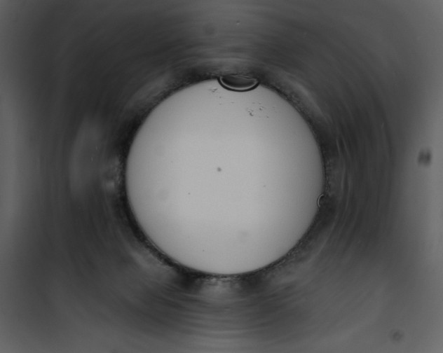 X0000101230077200807181612