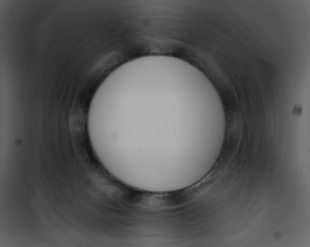 X0000101230078200807181612