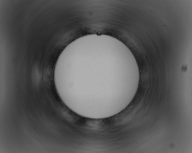 X0000101230079200807181612