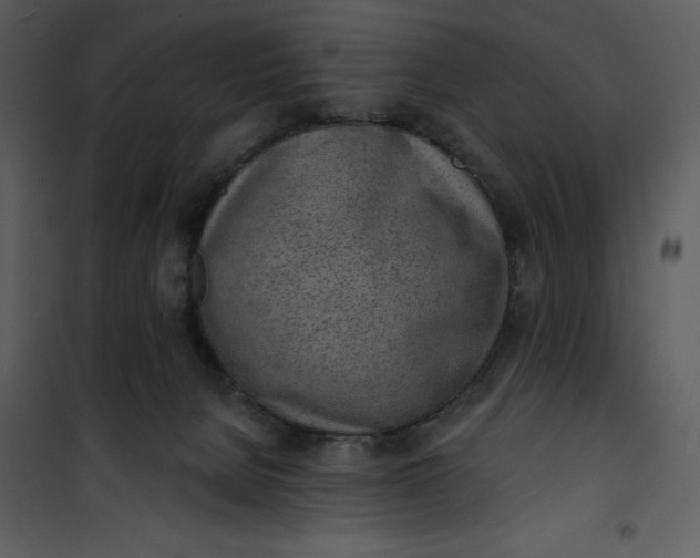 X0000101230080200807181613