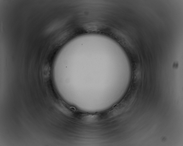 X0000101230081200807181613