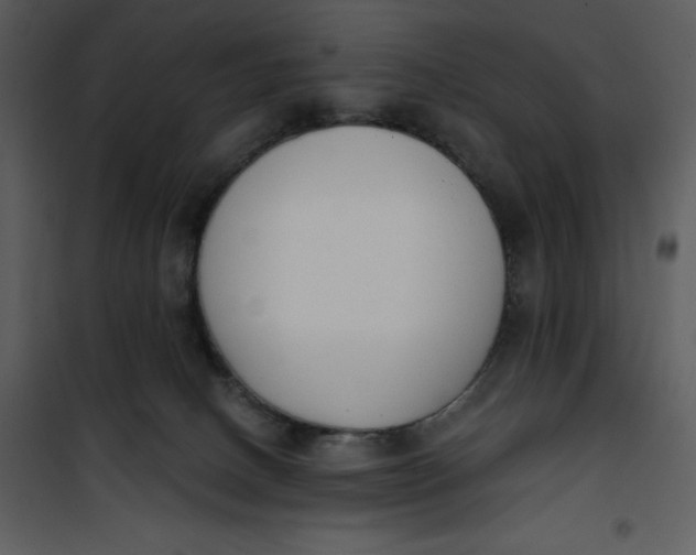 X0000101230082200807181613