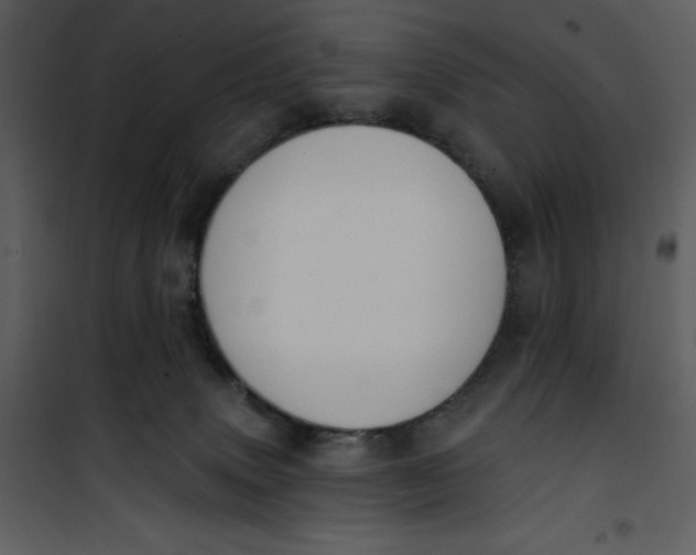 X0000101230083200807181613