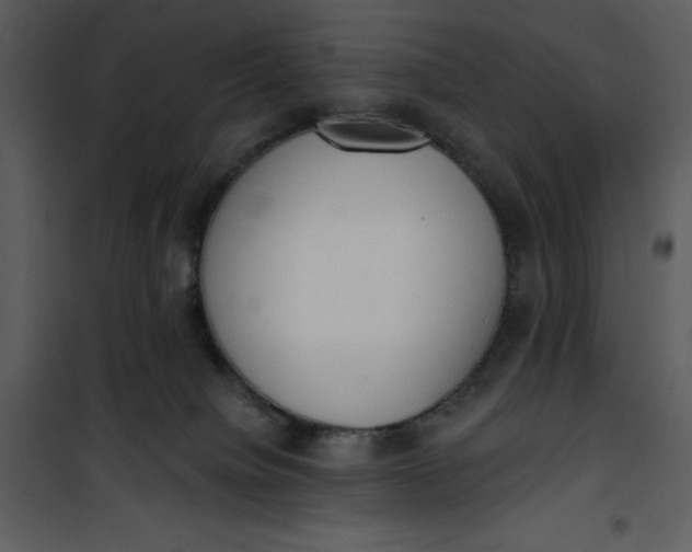 X0000101230084200807181613