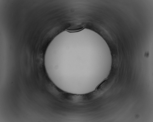 X0000101230085200807181613