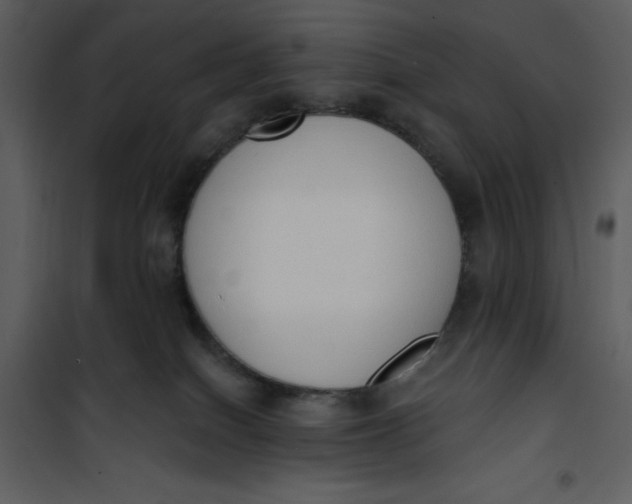 X0000101230086200807181613