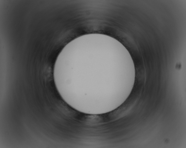 X0000101230087200807181613