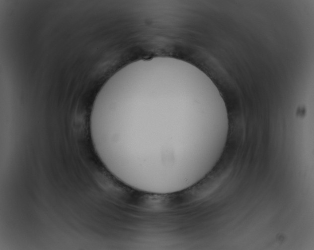 X0000101230088200807181613