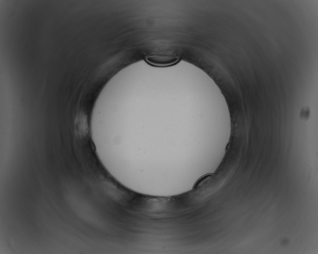 X0000101230089200807181613