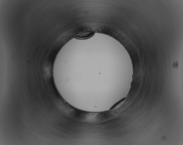 X0000101230090200807181613