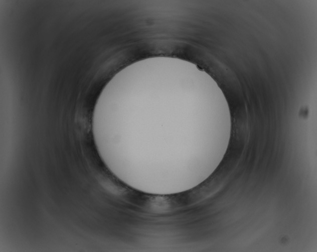 X0000101230091200807181613