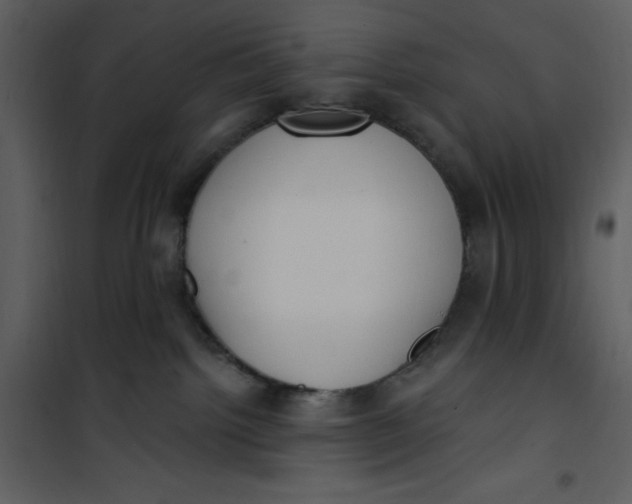 X0000101230092200807181613