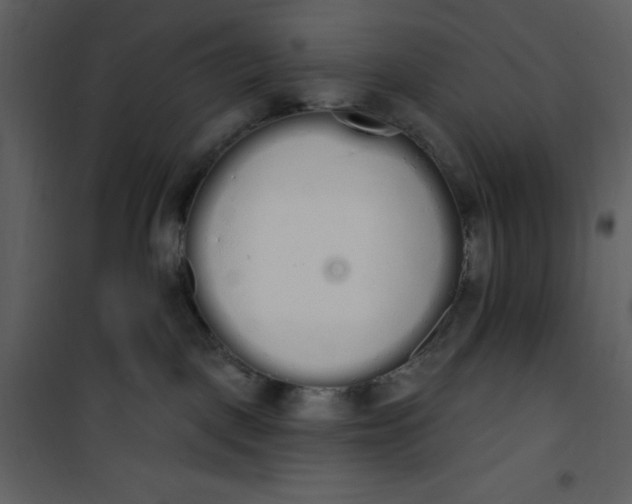 X0000101230093200807181613