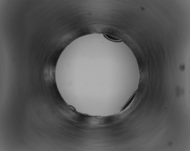 X0000101230094200807181613