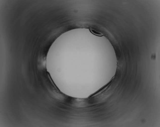 X0000101230095200807181613