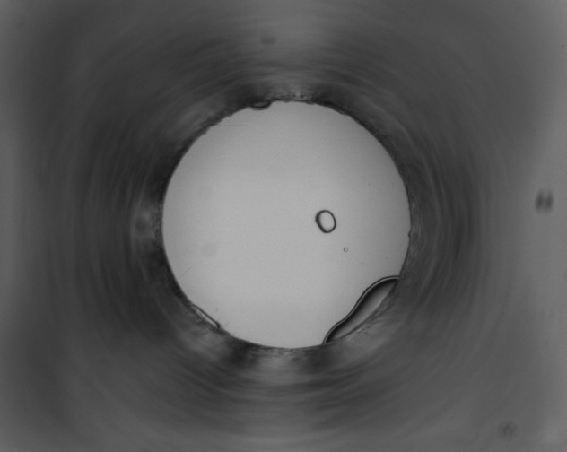 X0000101230096200807181613