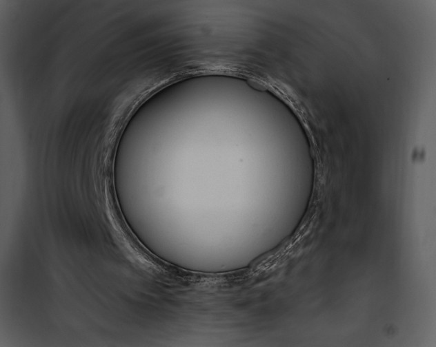 X0000101230097200807181612