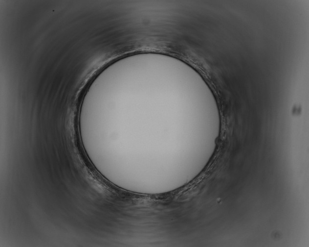 X0000101230098200807181612