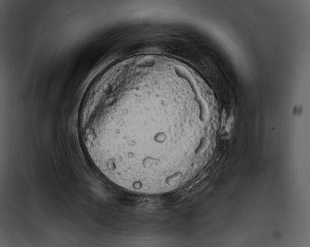 X0000101230099200807181612