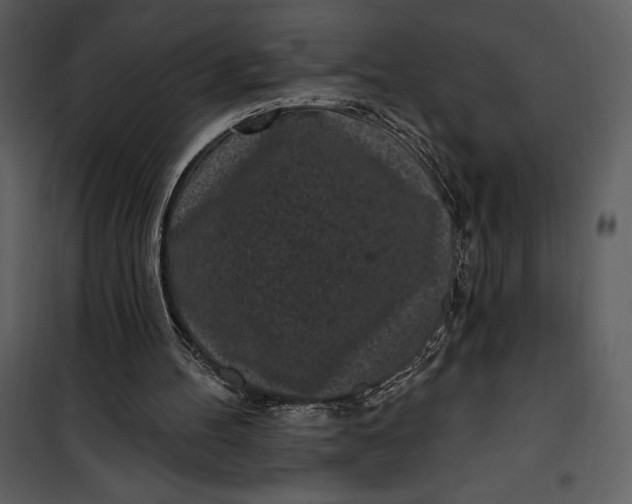 X0000101230100200807181612