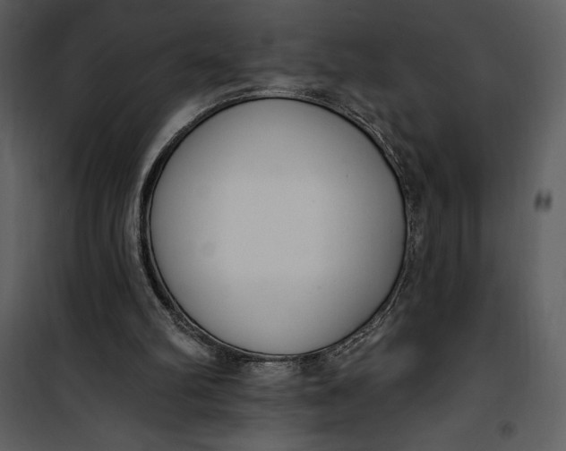 X0000101230102200807181612