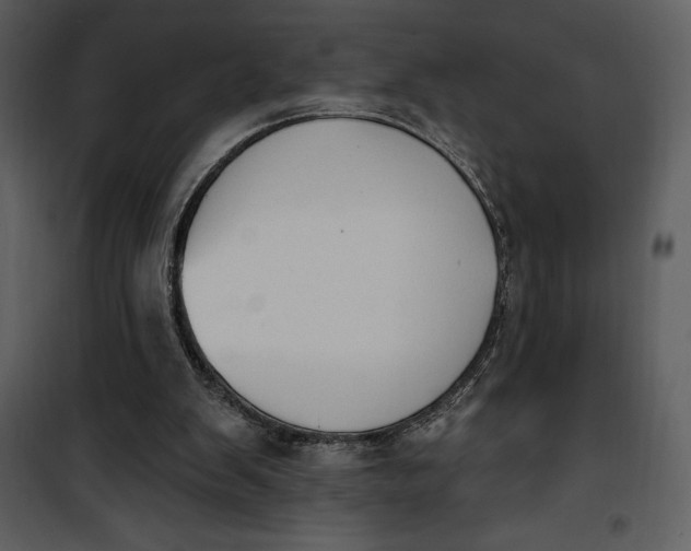 X0000101230103200807181612