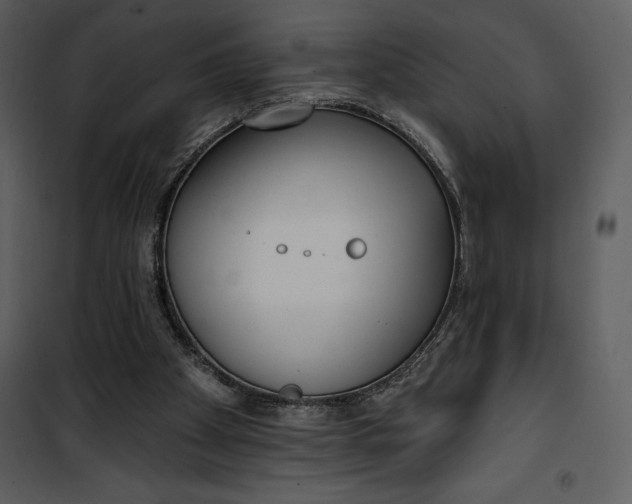 X0000101230105200807181612